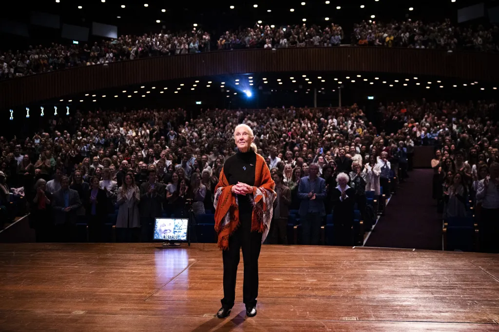 Dr. Goodall 2022-től 2025-ben bekövetkezett haláláig a Nonhuman Rights Project igazgatótanácsának tagja volt. 2002 áprilisában az ENSZ békenagykövetévé nevezték ki, emellett a Világjövő Tanácsának tiszteletbeli tagja is volt .