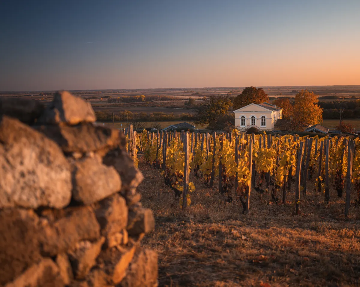 borospince, présház Tokaj környékén