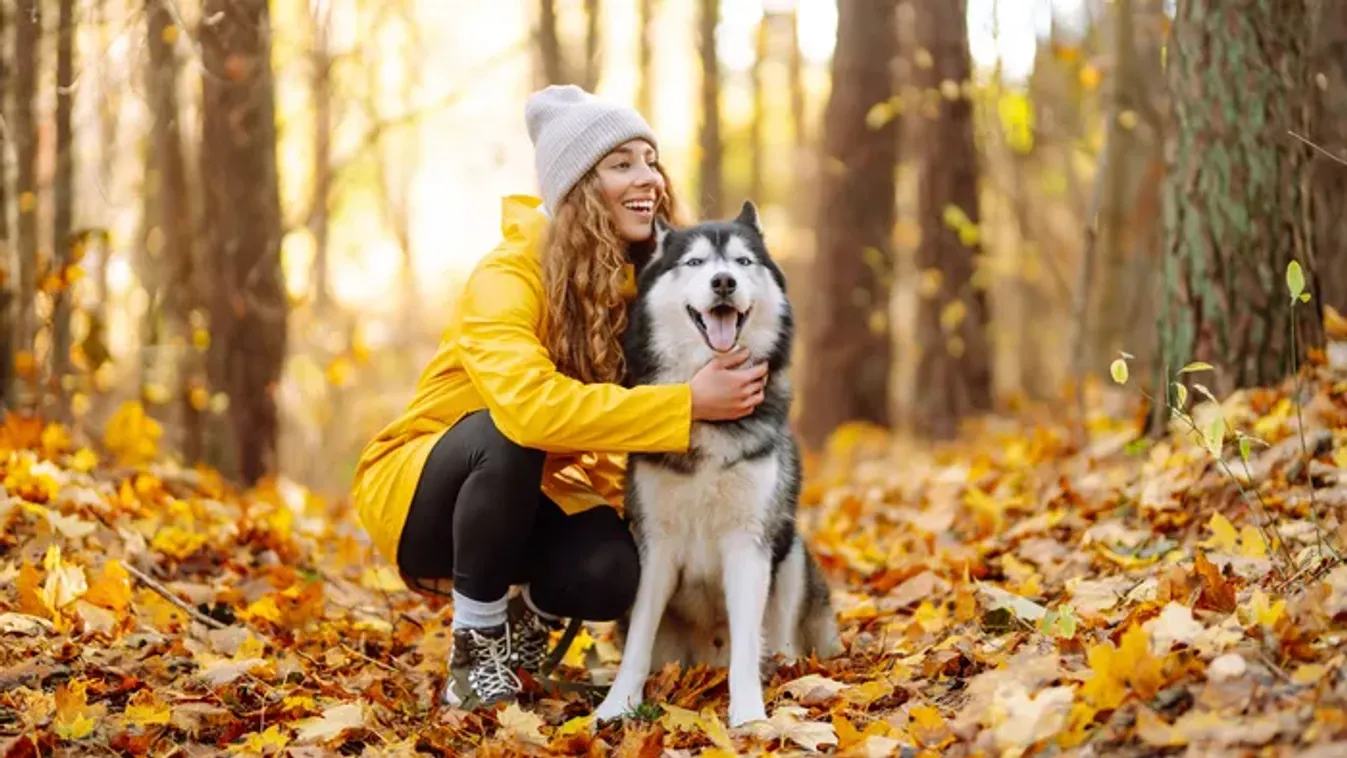 Kvíz: csak a legnagyobb állatbarátok ismerik fel ezeket a kutyafajtákat – Te köztük vagy?