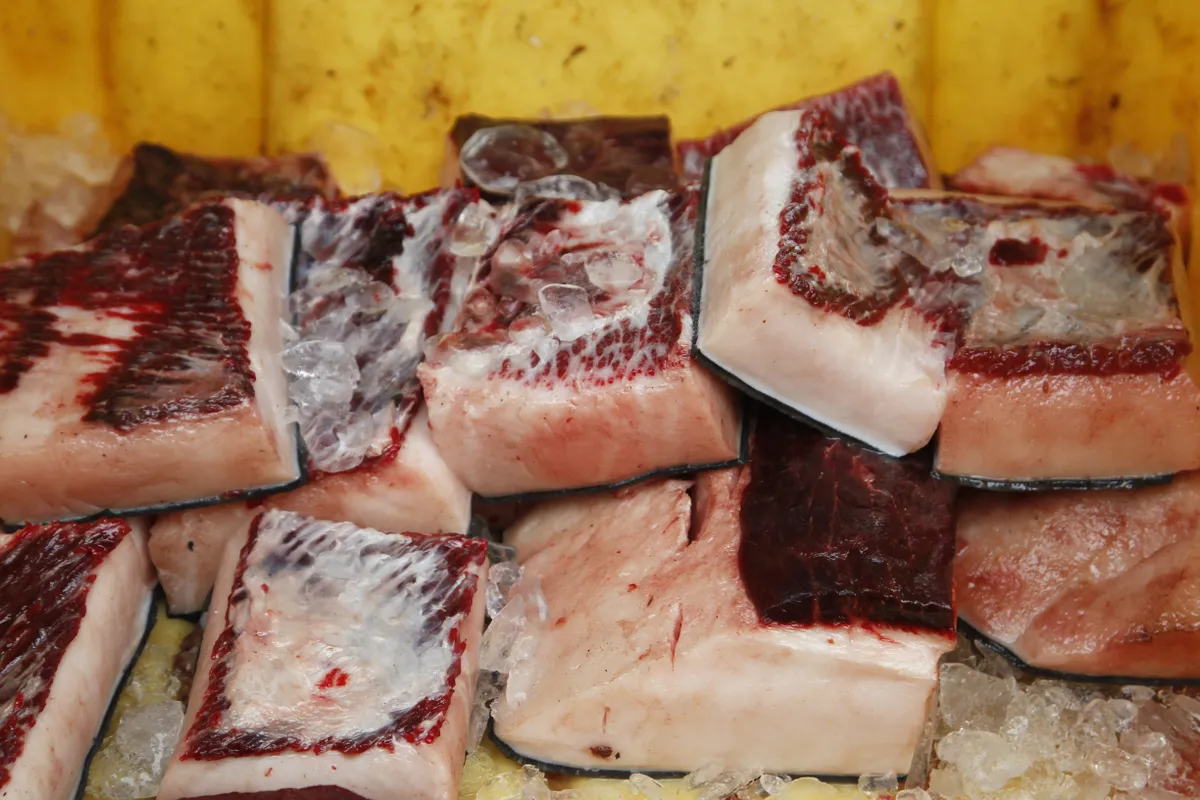 Grönlandon az ünnepi szokások közé tartozik a bálnabőr fogyasztás.