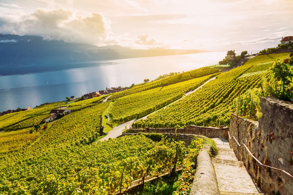 A svájci Lavaux Genussweg borútja UNESCO Világörökségi helyszín