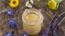 A méhpempő nem csak a férfiasságot növeli – el sem hiszed, még mire jó