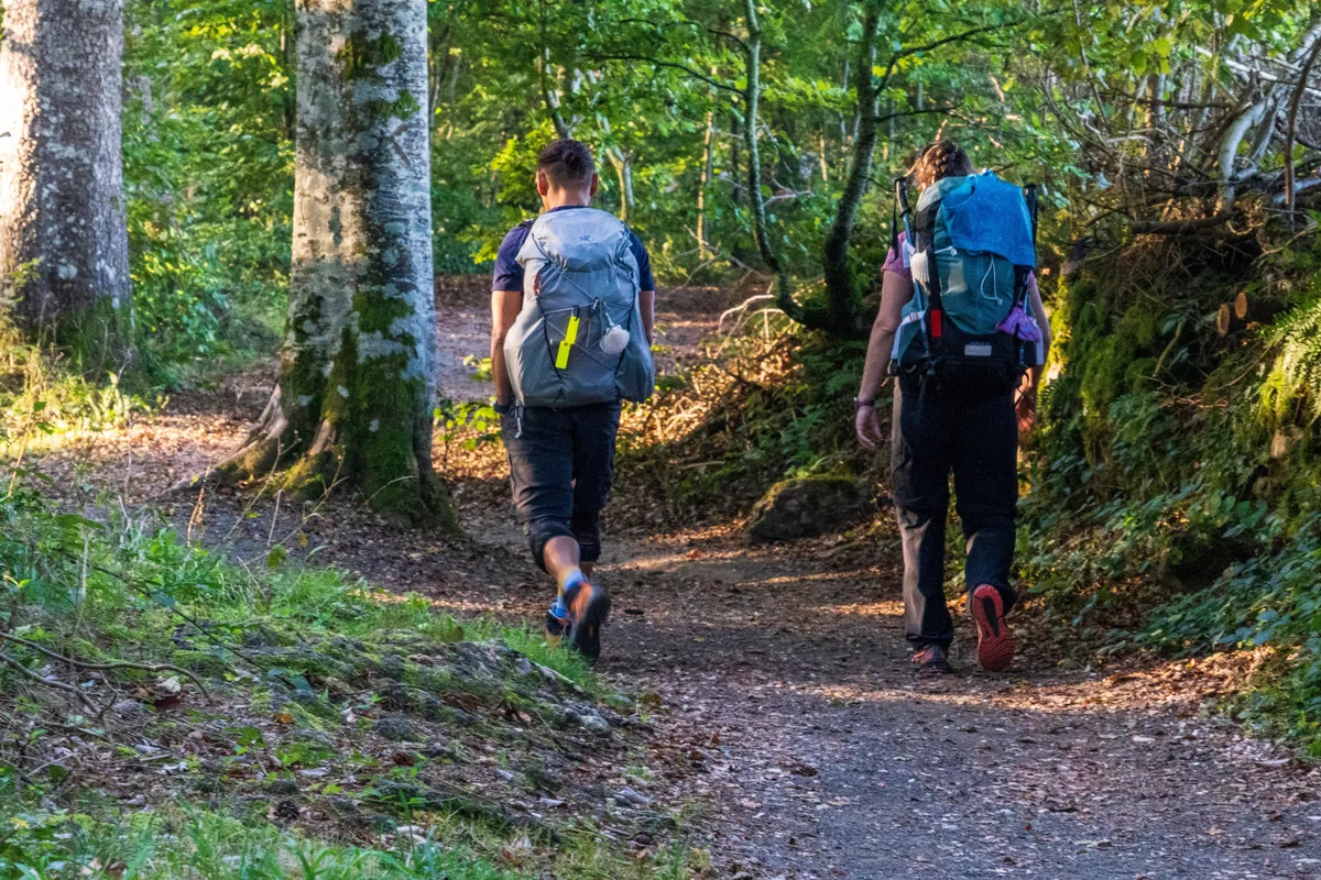 2005-ben hozták létre a Szent Márton tiszteletére kialakított zarándokutat 