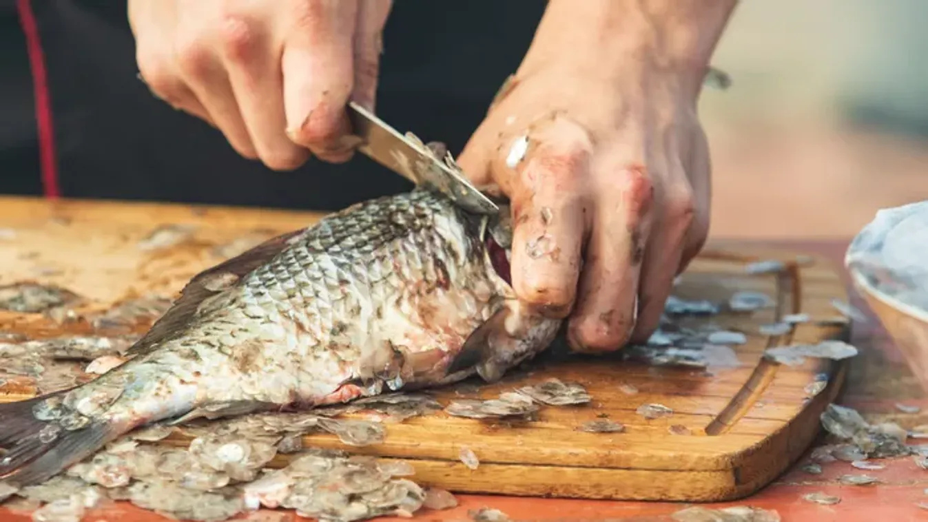 Kiderült, mennyi lesz idén a karácsonyi hal ára – íme a lista!