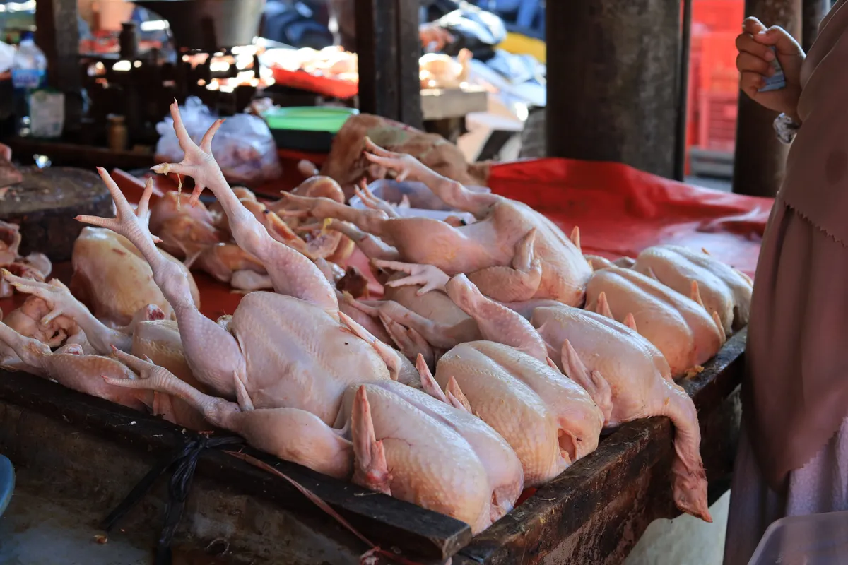 házi hús vásárlás piacon