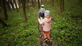 5 hangulatos tanösvény Budapest közelében, amit ősszel és télen is érdemes bejárni