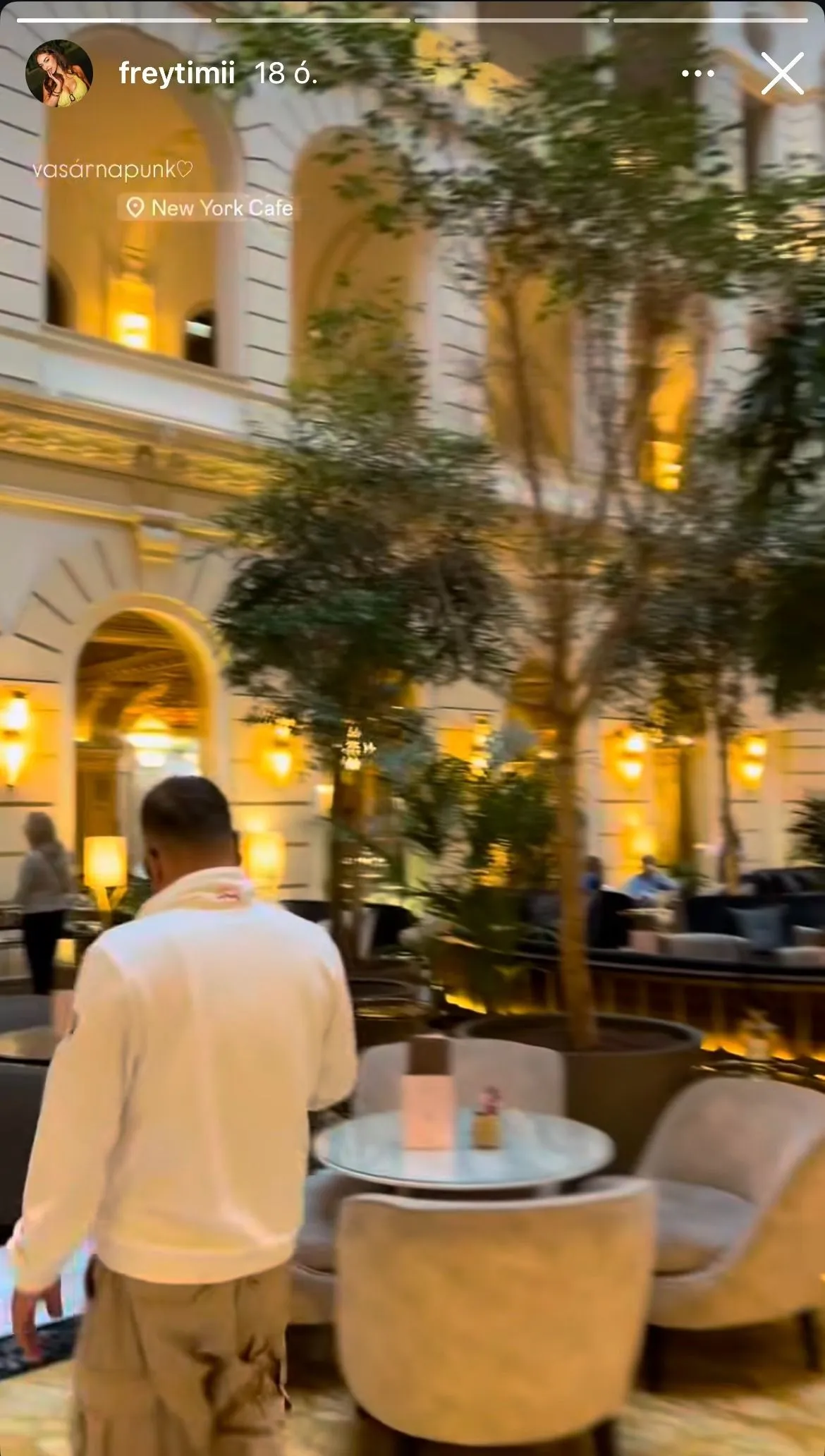 L.L. Junior Frey Timi