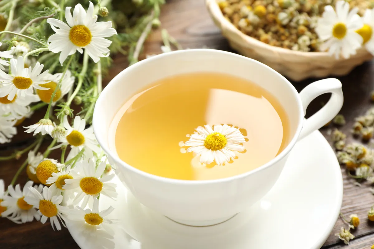 Kamilla tea felfázás ellen