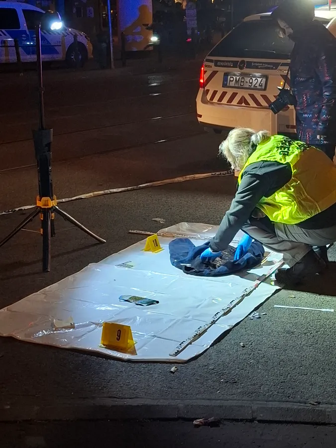 teleki téri késelés