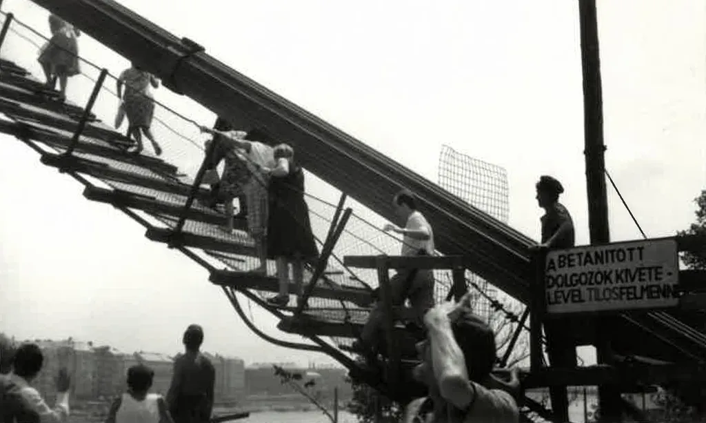 A szerkezetkész Erzsébet híd ünneplése