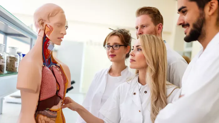 Emberi test kvíz csak a legokosabbaknak