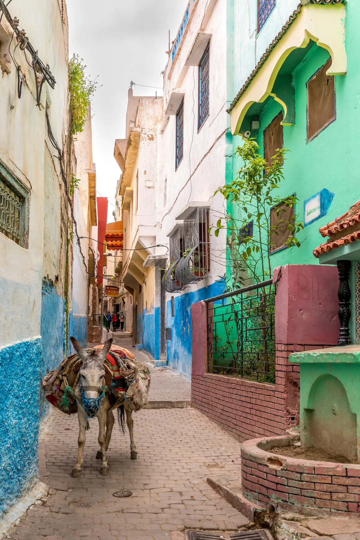 Marokkó szent városa, Moulay Idriss jellegzetes utcaképe szamárral