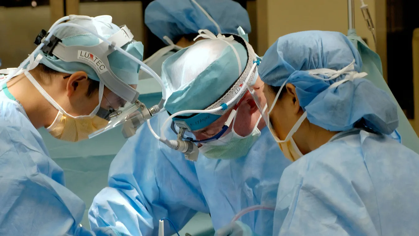 Új rekord a szívtranszplantációban: az 1600 km-es szállítás alatt végig dobogott egy kioperált szív