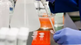 Egyre rejtélyesebb a több száz áldozatot követelő ételmérgezés - kiderült, hogy Budapest mellett Veresegyházán is rengeteg a beteg