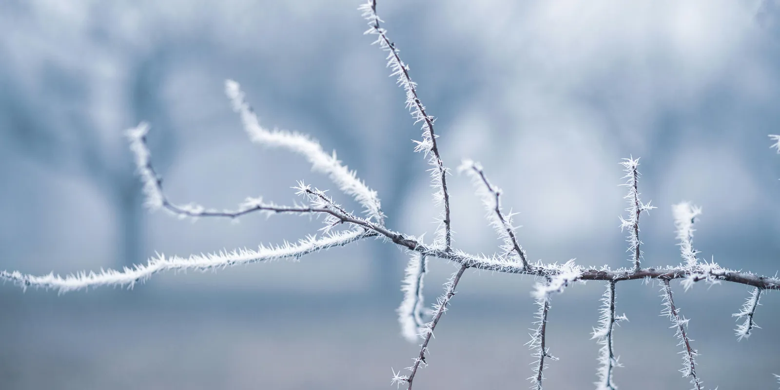 Így kezeld házilag a torokfájást!