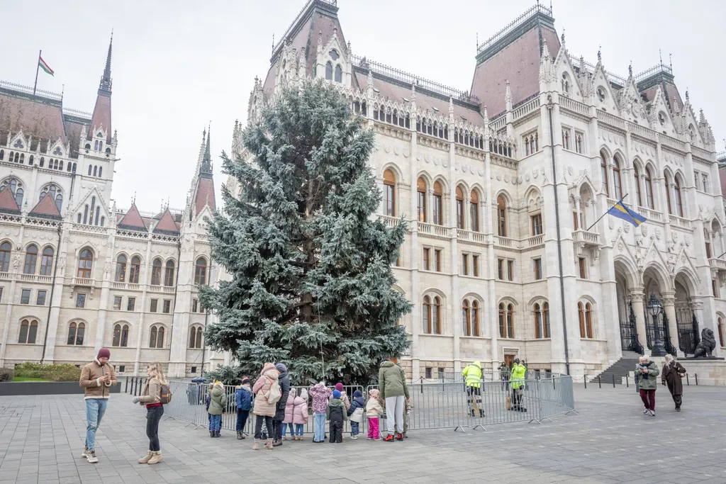 2025.11.24.Az ország karácsonyfájának felállítása