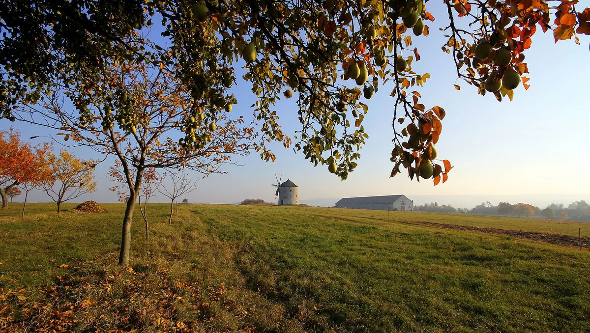 A tési szélmalom Várpalota mellet