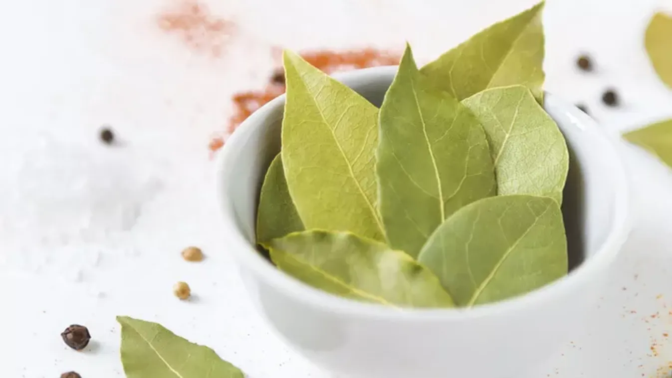 Meglepő, mit tud a babérlevél: 4 trükk, amitől sokkal jobb lesz a közérzeted