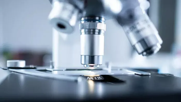 Menzás ételmérgezés: hamarosan kiderül, hogy mi okozhatta