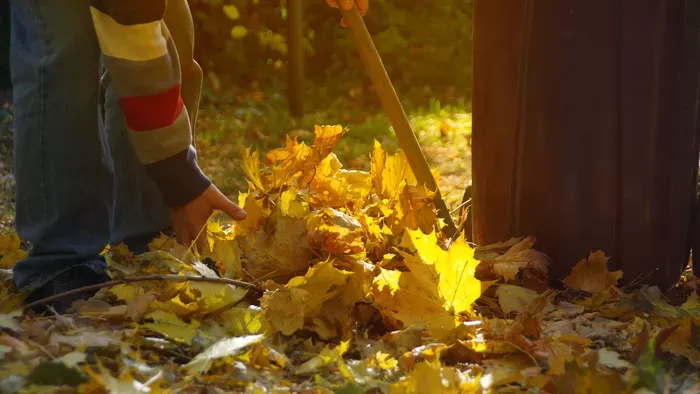 Őszi avar: így lesz a lehullott lombból kerti tápanyag