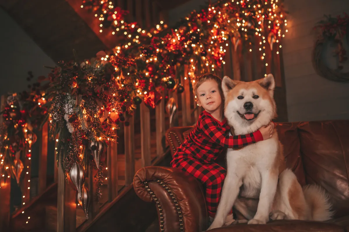 Karácsonyi pizsama szettet viselő kisfiú egy akitával.