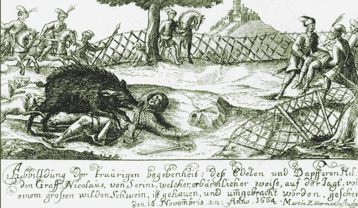 Zrínyi és a gyilkos vadkan