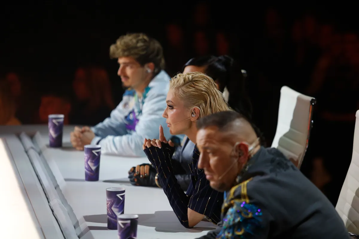 herceg erika, megasztár