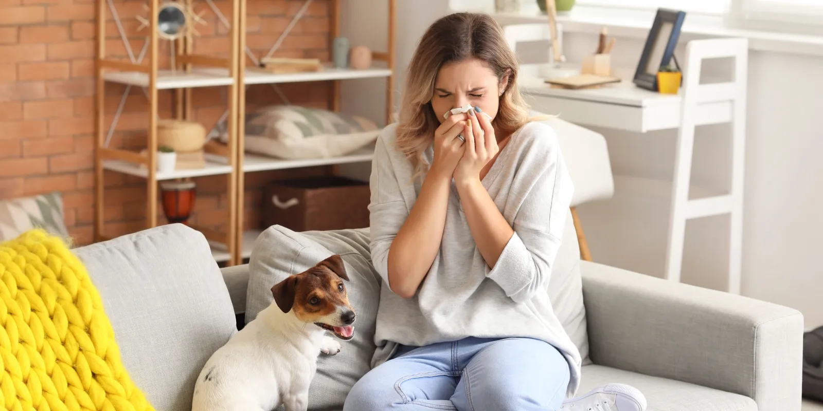 4 dolog az otthonodban, ami megbetegíthet
