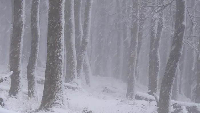 Hólepel borult az országra: ez még csak a kezdet - videók