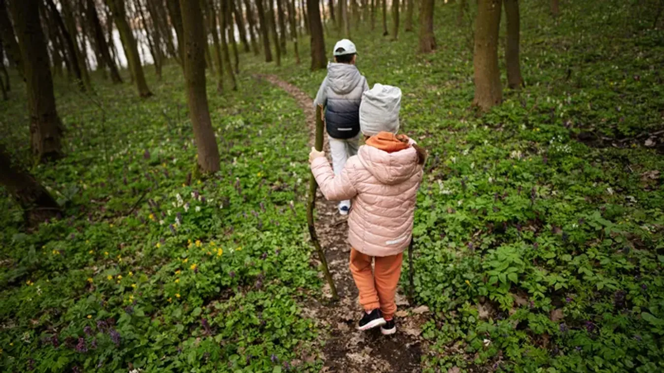 5 hangulatos tanösvény Budapest közelében, amit ősszel és télen is érdemes bejárni