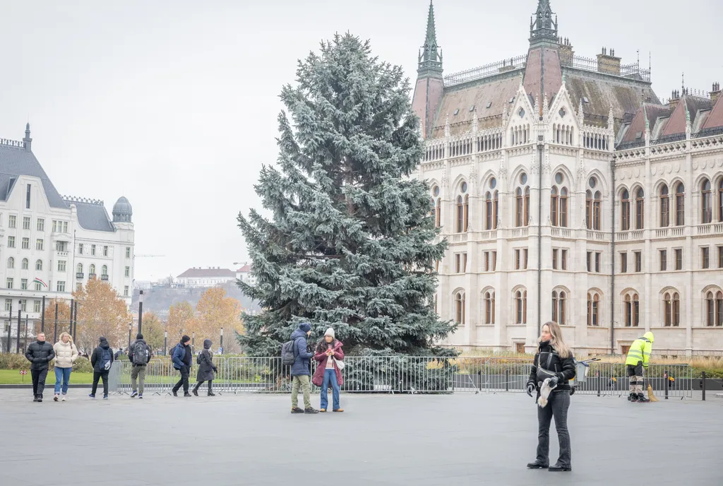 2025.11.24.Az ország karácsonyfájának felállítása