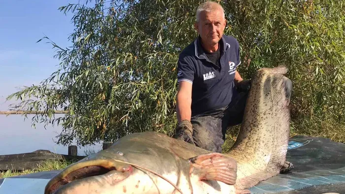 Méretkorlátozást szeretne elérni a világbajnok horgász