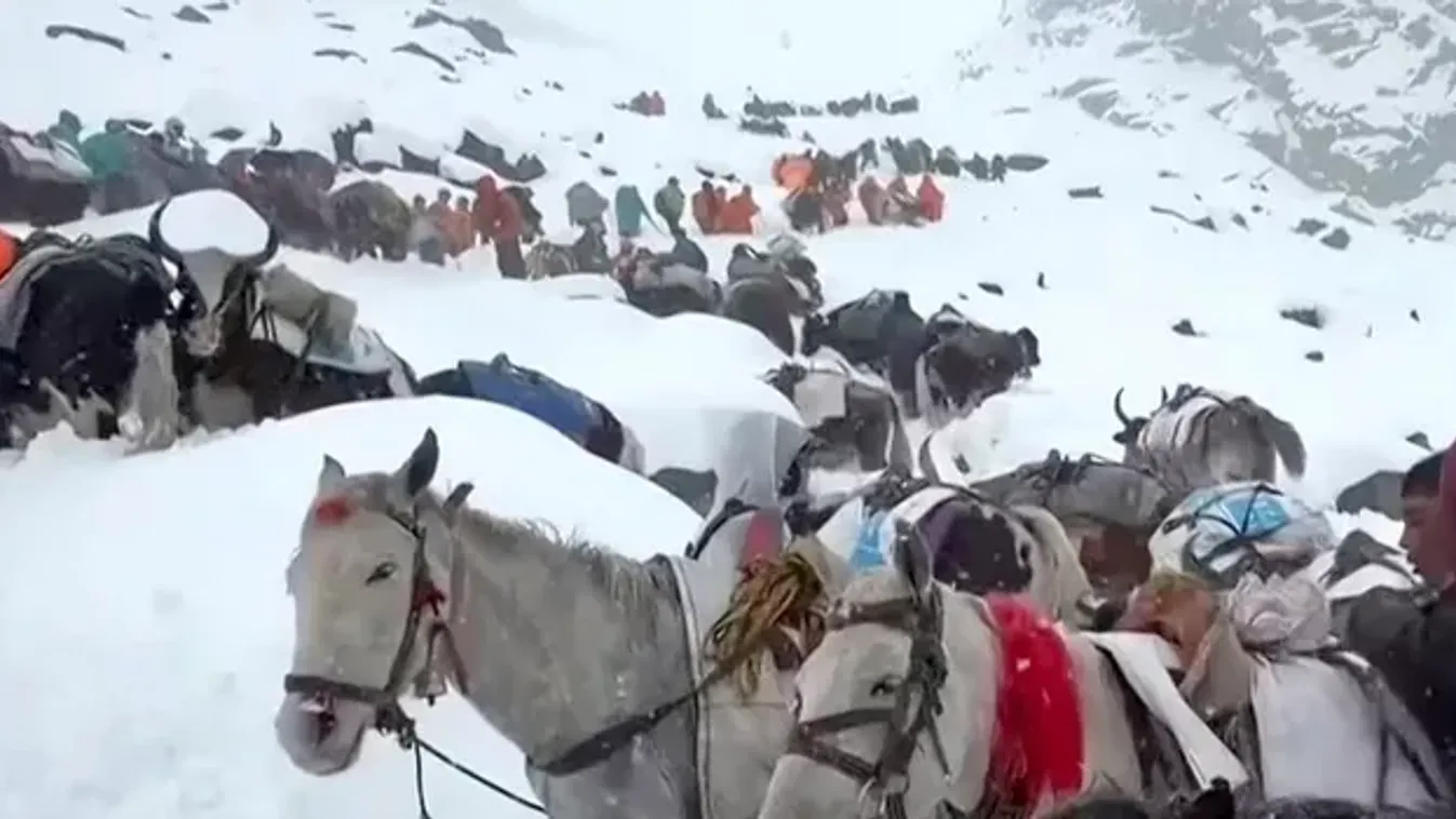 Legalább 7 hegymászó vesztette életét egy lavina miatt