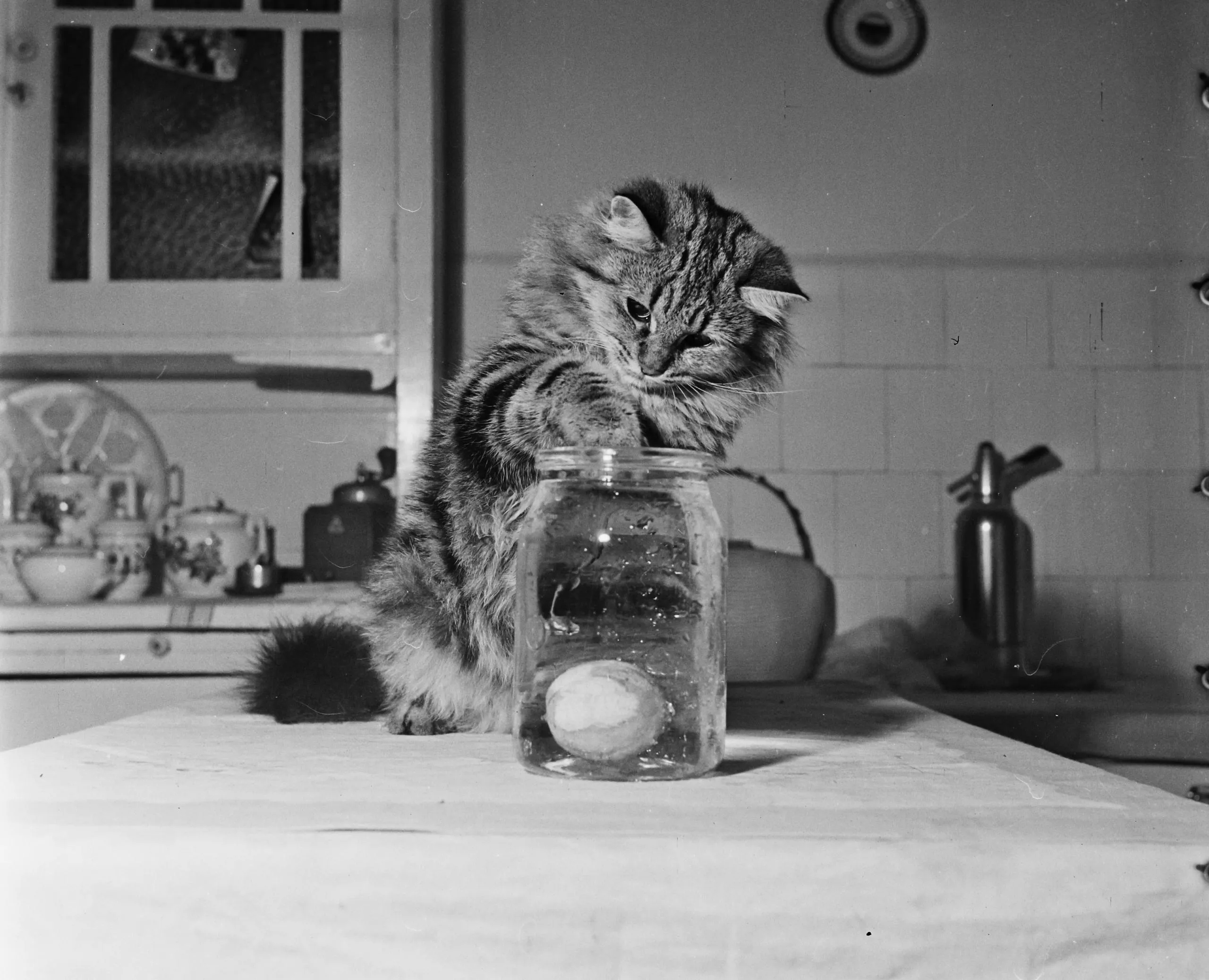 Kvíz kérdést ábrázoló kép