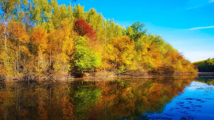 Gemenc – Európa legnagyobb ártéri erdeje a Duna mentén
