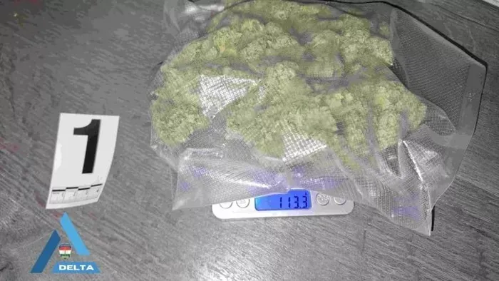 35 éves férfi terjesztett drogot, ezt találták otthonában