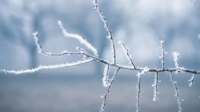 Így kezeld házilag a torokfájást!