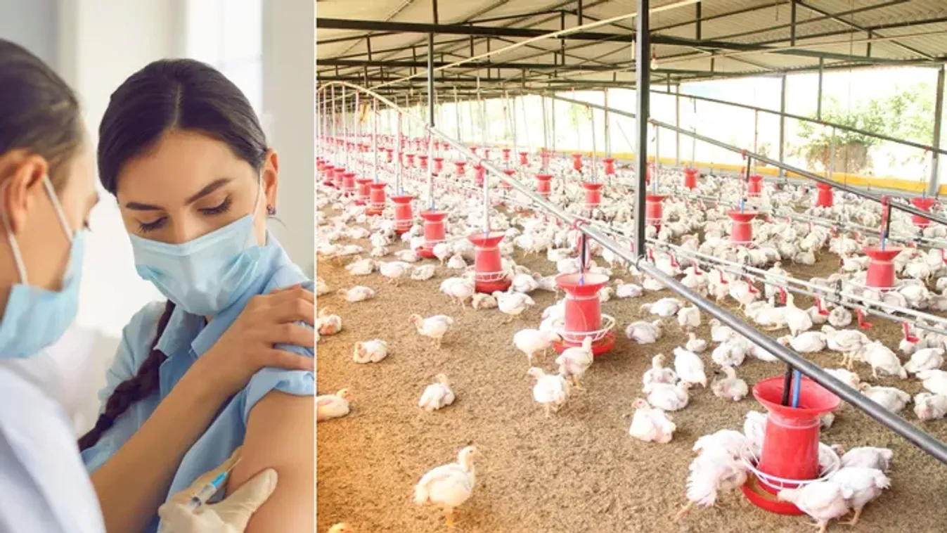 Brutális vírus jöhet a Covid-19 után, megszólalt Dr. Rusvai Miklós