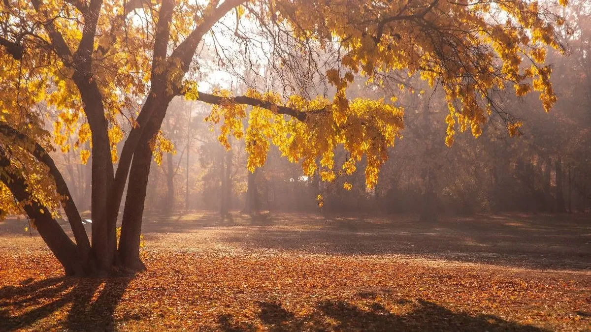 Gőzölgő Tisza, álmos fák: nézd meg, hogyan altatja az ősz az Alföldet