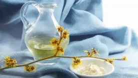 Csodát tesz a bőrrel a látványos növény, a varázslatos boszorkánymogyoró kivonata