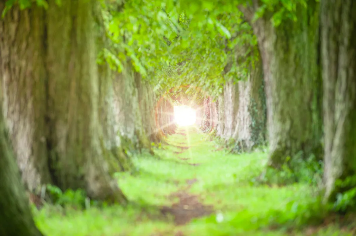 A számmisztika szerint a gondoskodó típusoknak fontos megtalálniuk saját útjukat