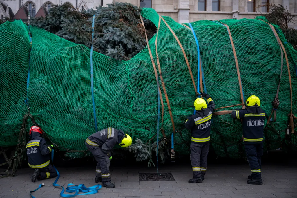 ország karácsonyfájának felállítása
2025_11_24