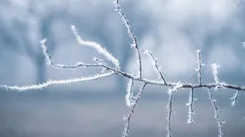 Bevált praktika: így kezeld házilag a torokfájást!