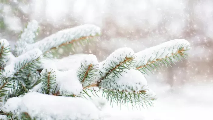Leesett az első hó! Már fehérbe borult a Börzsöny