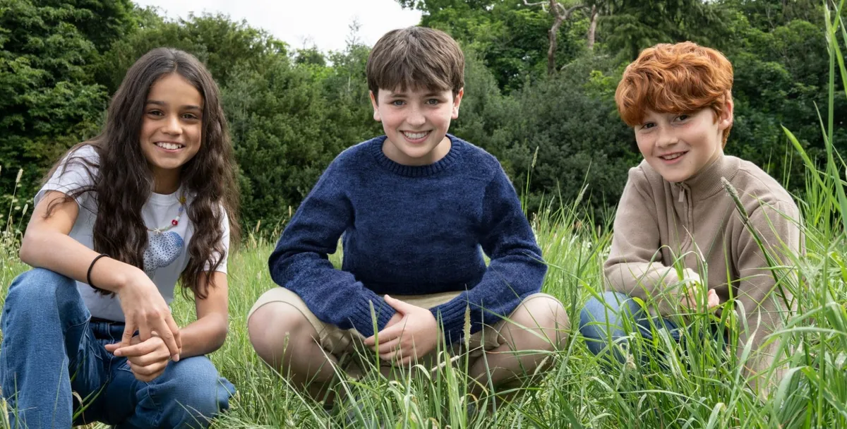 Harry Potter sorozat