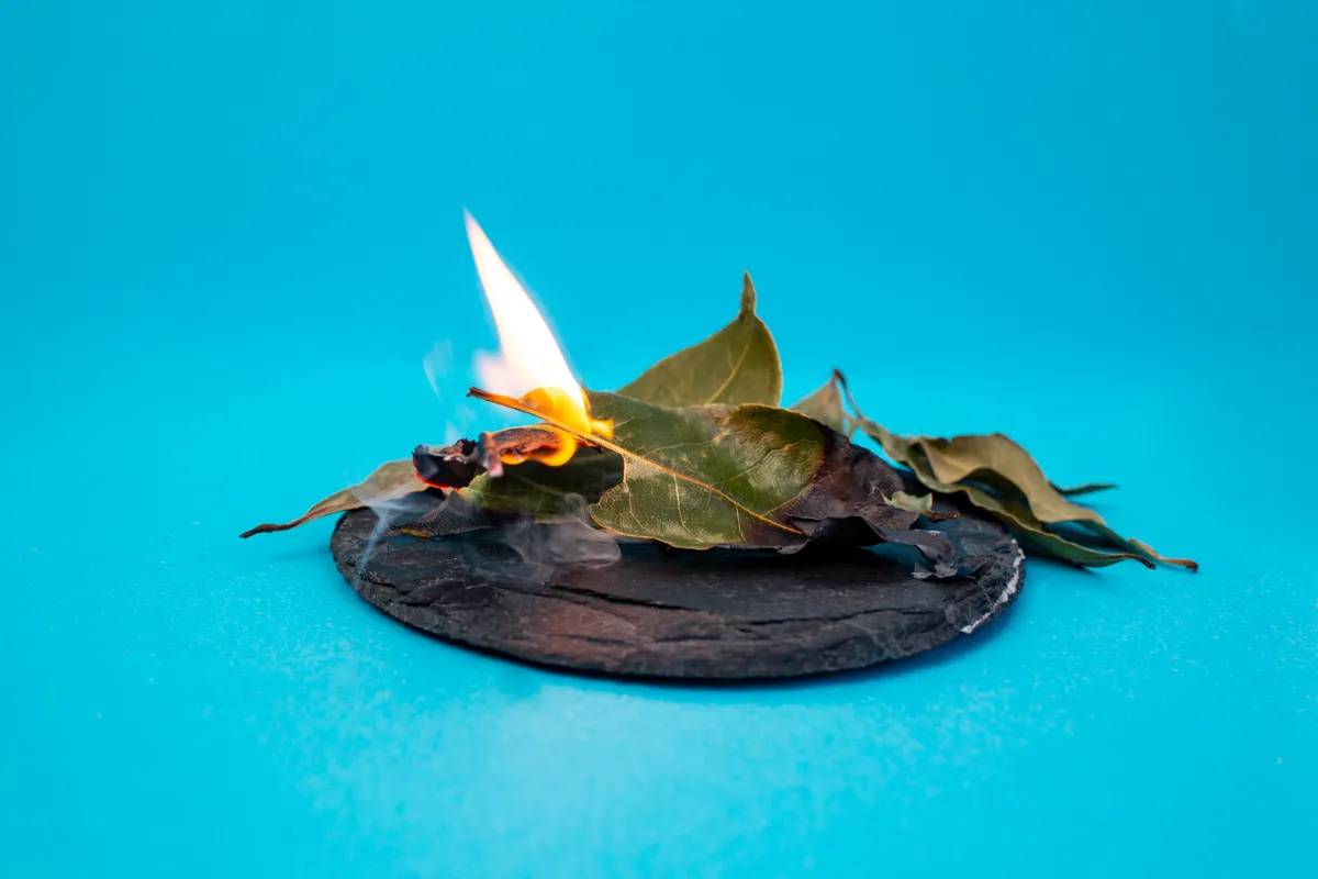 Babérlevél égetése