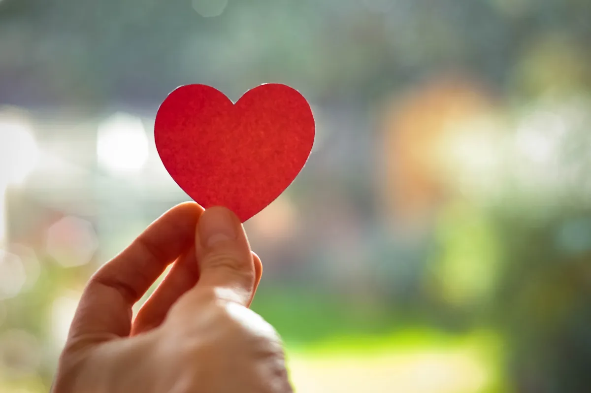 Véradást szimbolizáló szív alakzat egy kézben