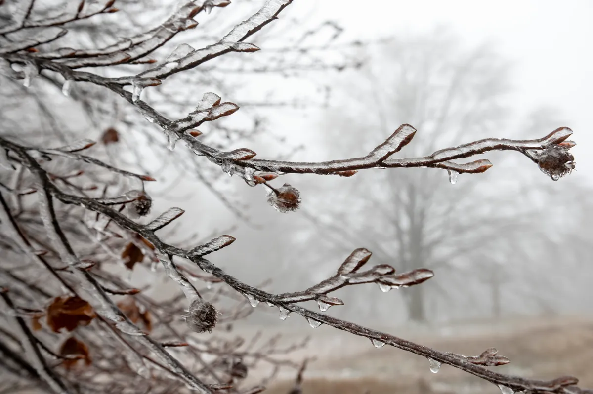 2025.11.21. hó, havazás november