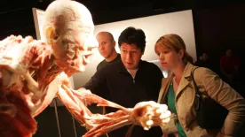 A Bodies-kiállítás félelmetes titkai: egy texasi édesanya esete az egész világot megrázta