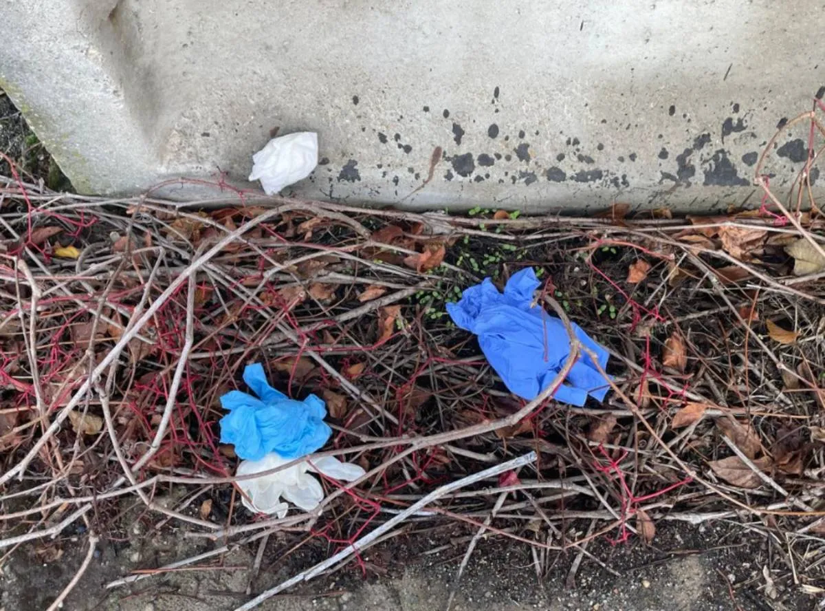 Szeged, eltűnt doktornő holttest helyszín